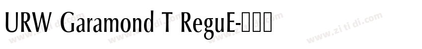 URW Garamond T ReguE字体转换